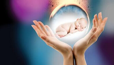 案例